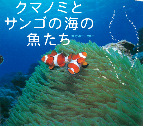 クマノミとサンゴの海の魚たち【速報版】