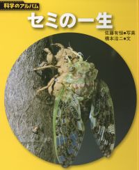科学アルバム「セミの一生」